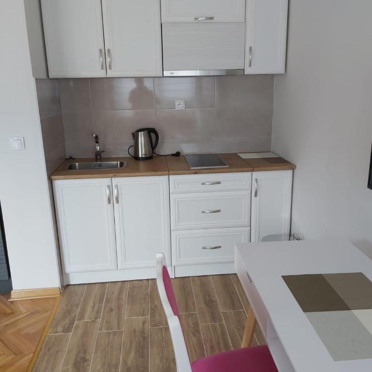 San apartments - Fall in love with Vrnjačka Banja - Apartman sa 1 Spavaćom Sobom - 1