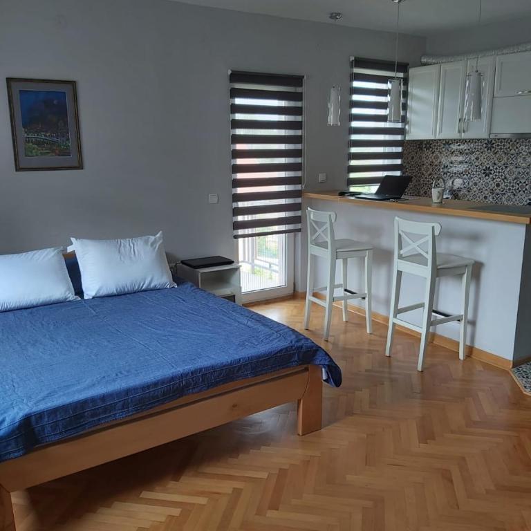 San apartments - Fall in love with Vrnjačka Banja - Apartman sa 1 Spavaćom Sobom - 2