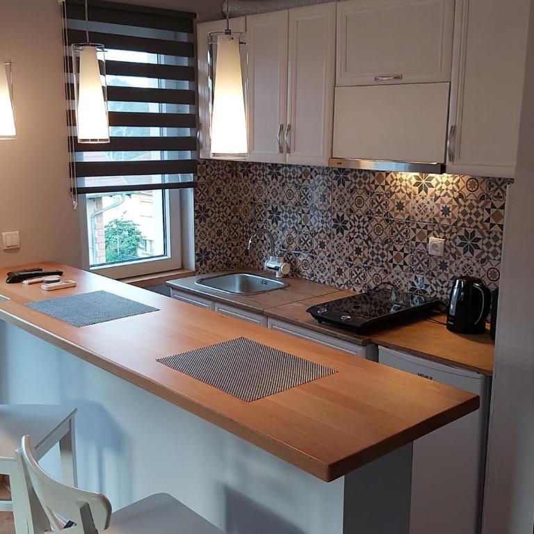 San apartments - Fall in love with Vrnjačka Banja - Apartman sa 1 Spavaćom Sobom - 7