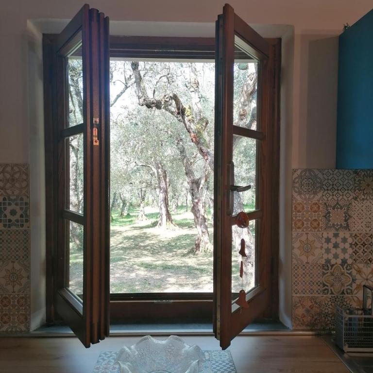 Casina Versilia - Studio-Apartment - 32