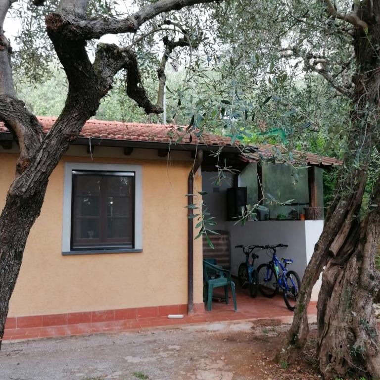 Casina Versilia - Studio-Apartment - 35