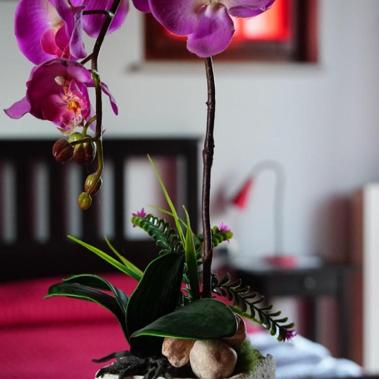 Bed & Breakfast Milù - Suite Loft - 1