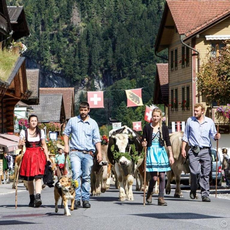 Lauterbrunnen Staubbach Beautiful Waterfall Apartment - Apartment mit 3 Schlafzimmern - 46