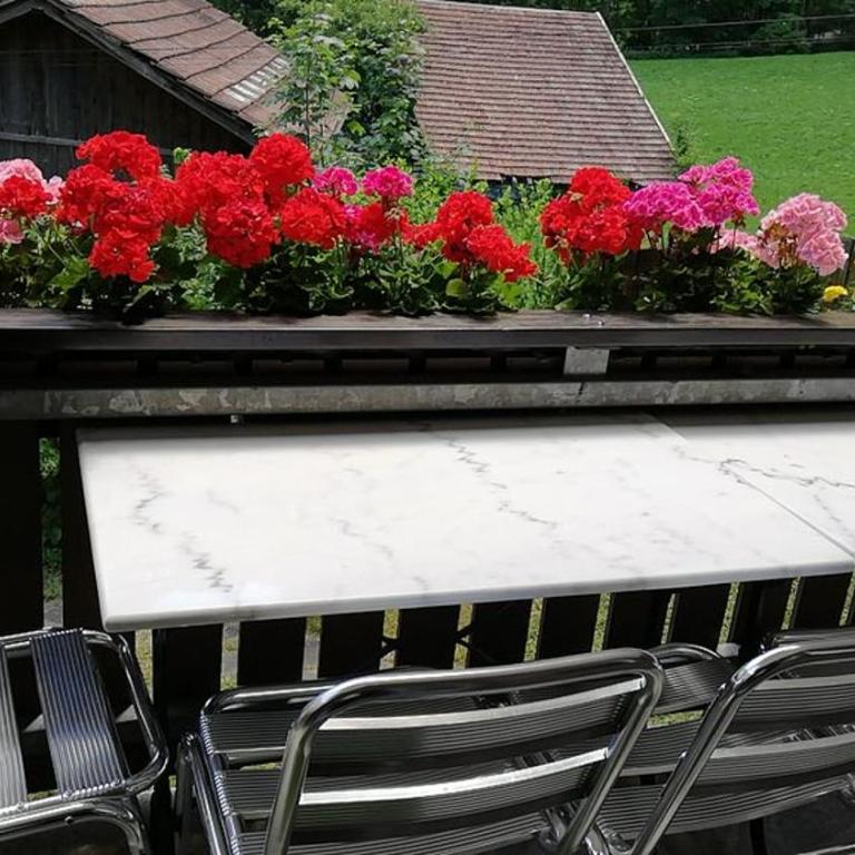 Lauterbrunnen Staubbach Beautiful Waterfall Apartment - Apartment mit 3 Schlafzimmern - 57