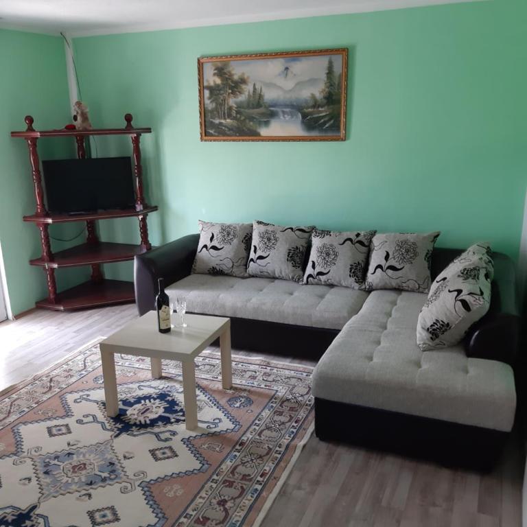 Apartments Snezana - Apartment with Terrace - 5