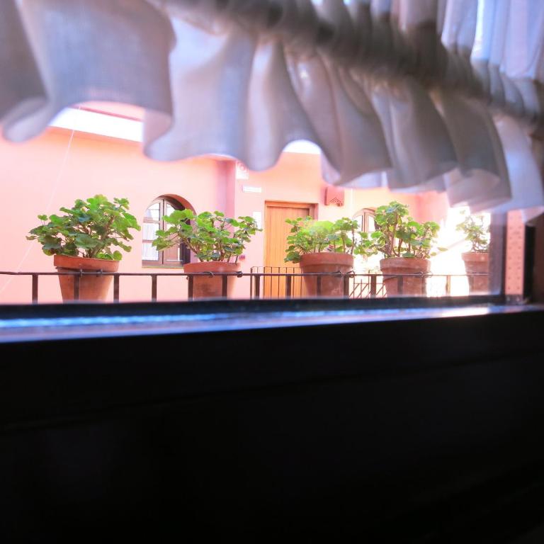 Patio de La Alameda - Habitación Familiar (2 adultos y 2 niños) - 7