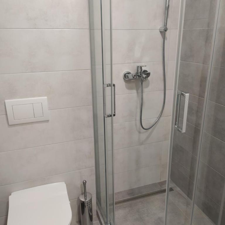 Deluxe apartment Jelena - Apartman sa 1 Spavaćom Sobom - 10