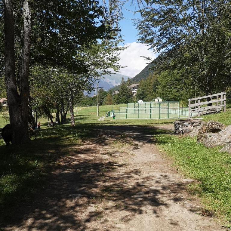 Chalet calme - Chalet 2 Chambres - 24