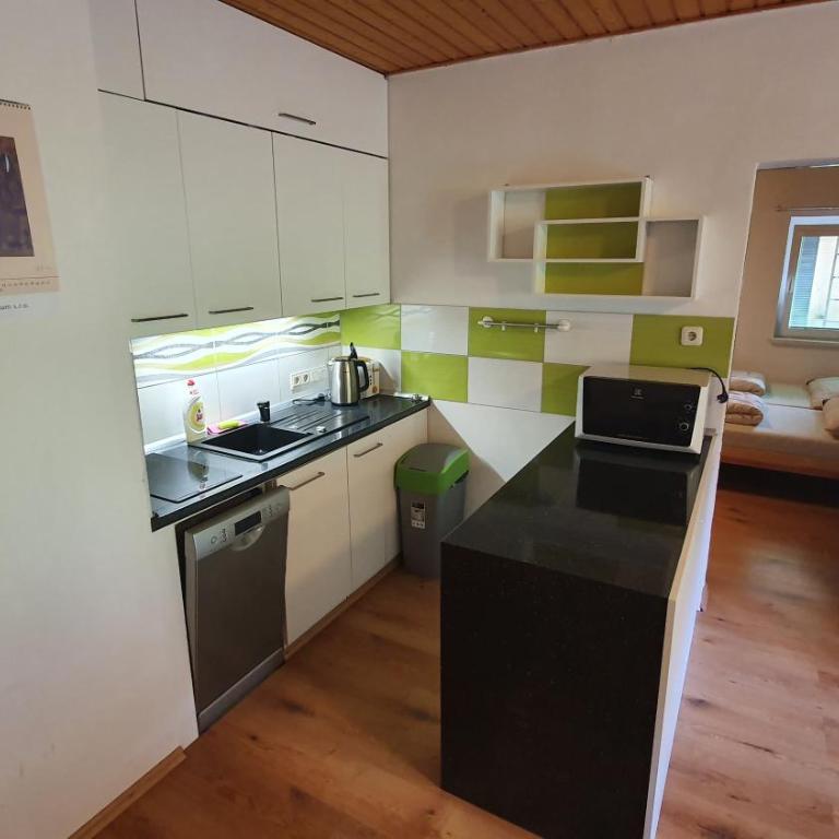 Apartmán Tauplitz - Apartamento con vistas a las montañas - 8