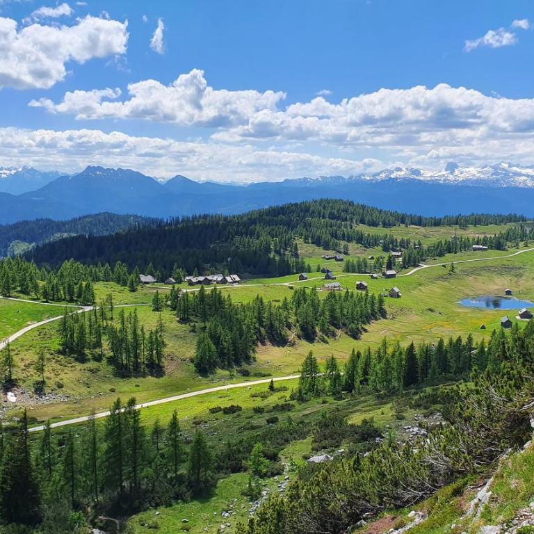 Apartmán Tauplitz - Apartamento con vistas a las montañas - 54