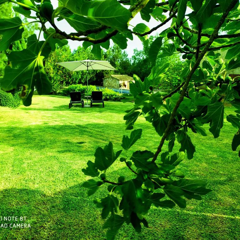 Ca na Maria - Villa de 2 dormitorios - 11