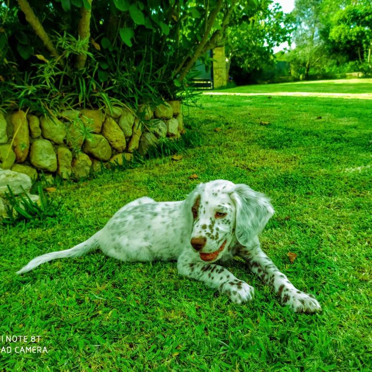 Ca na Maria - Villa de 2 dormitorios - 38