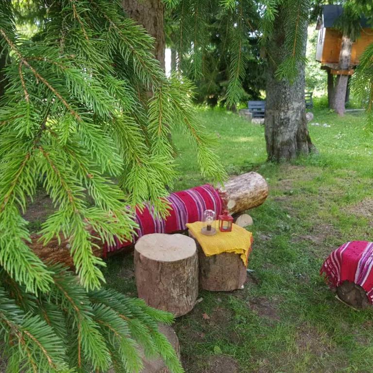 Snow Angel Jahorina - Two-Bedroom House - 46