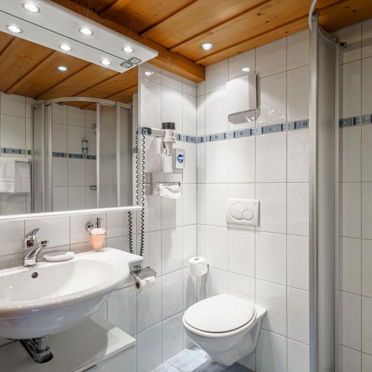 Alpenblick Hotel & Restaurant Wilderswil by Interlaken - Zimmer Alpenchic - 9