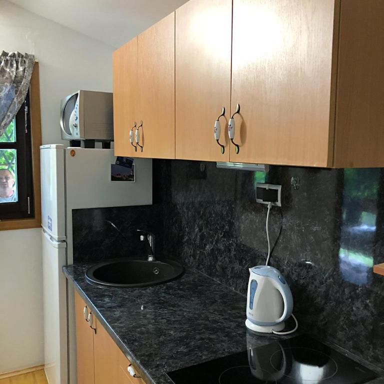 Studio apartman Firdaus-Bihać, Dobrenica bb - One-Bedroom House - 18