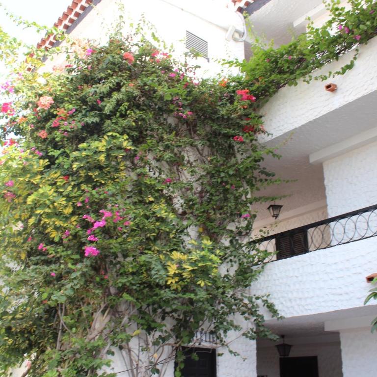 Casa Blanca - Sea View - First Line - Apartamento de 1 dormitorio - 11