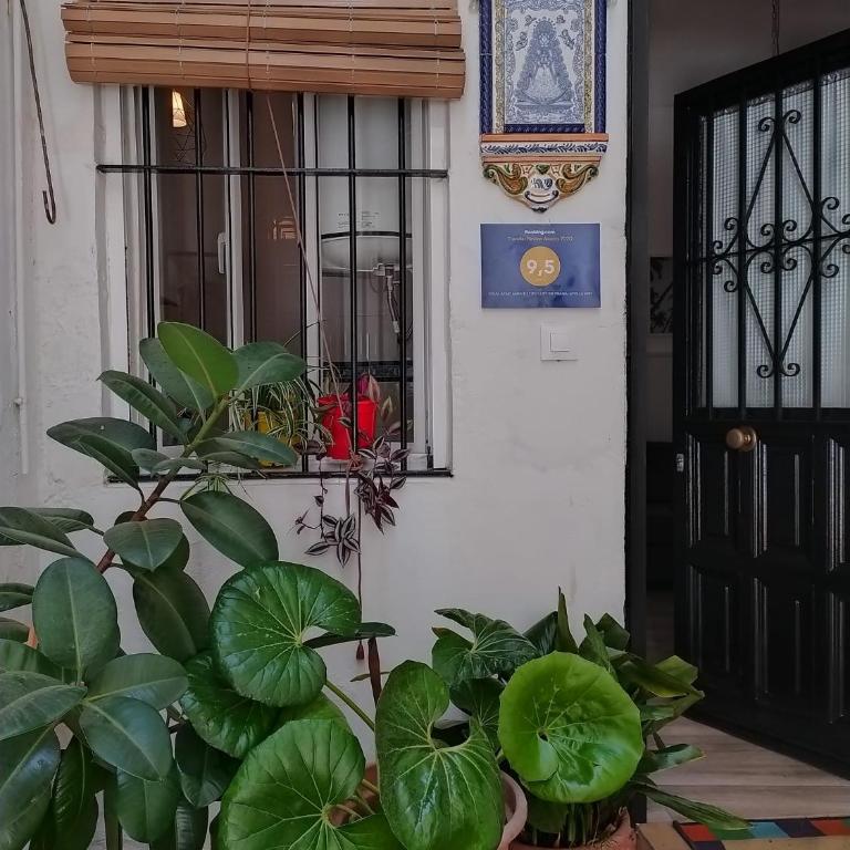Ideal Apartamento Tipo Loft en Triana Sevilla Wifi - Apartamento de 1 dormitorio - 6