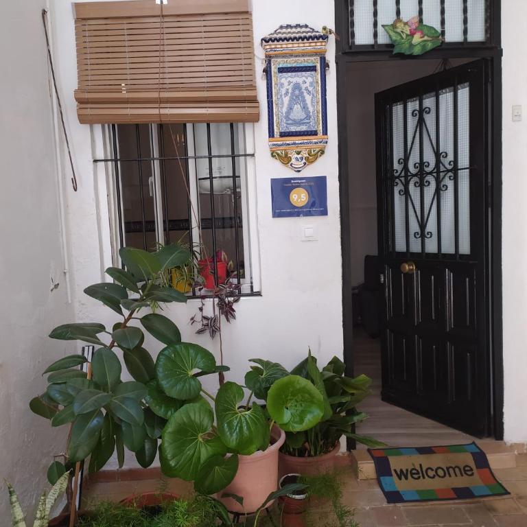 Ideal Apartamento Tipo Loft en Triana Sevilla Wifi - Apartamento de 1 dormitorio - 3