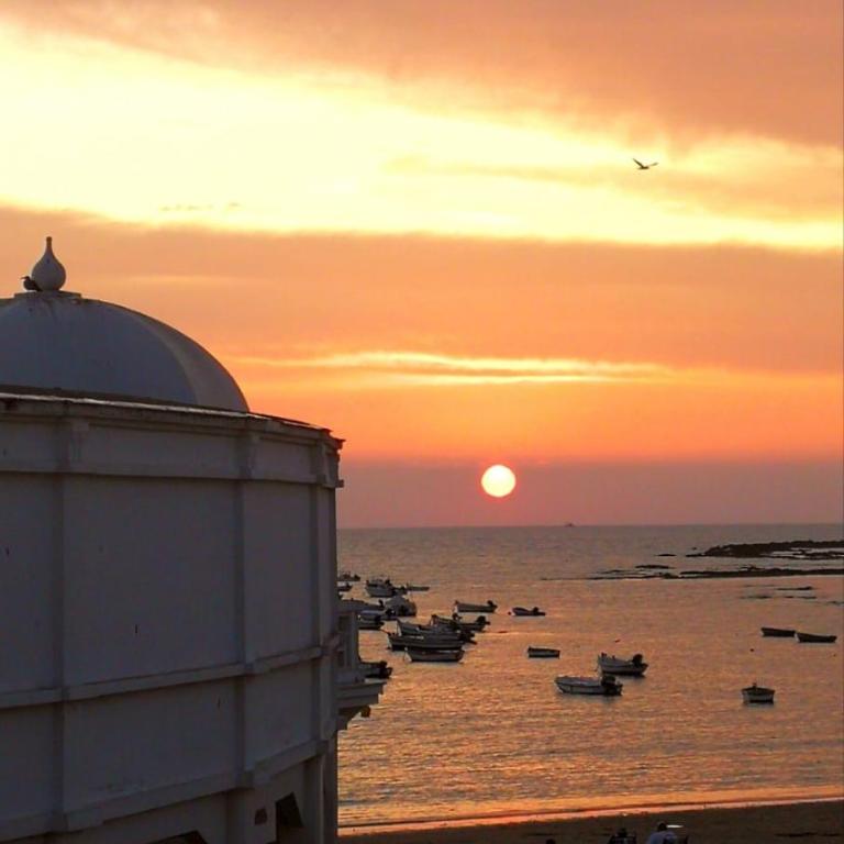 Sunset Caleta - Apartamento de 1 dormitorio - 15
