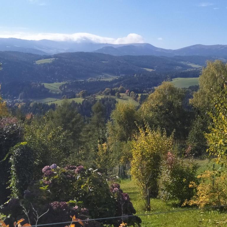 Alban Berg Villa - Apartment mit Gartenblick - 8