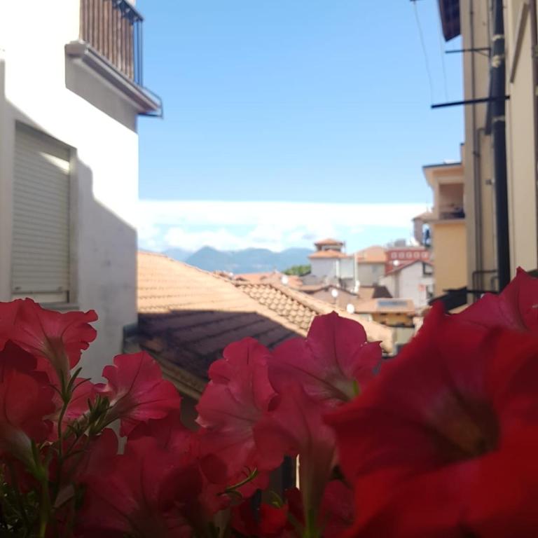 Fior&Iris Apartments - Appartamento con 1 Camera da Letto - 6
