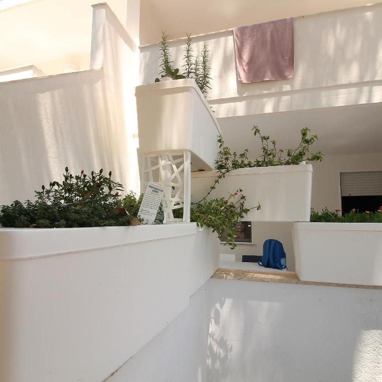 Sabbia e Mare - Casa con 2 Camere da Letto - 12