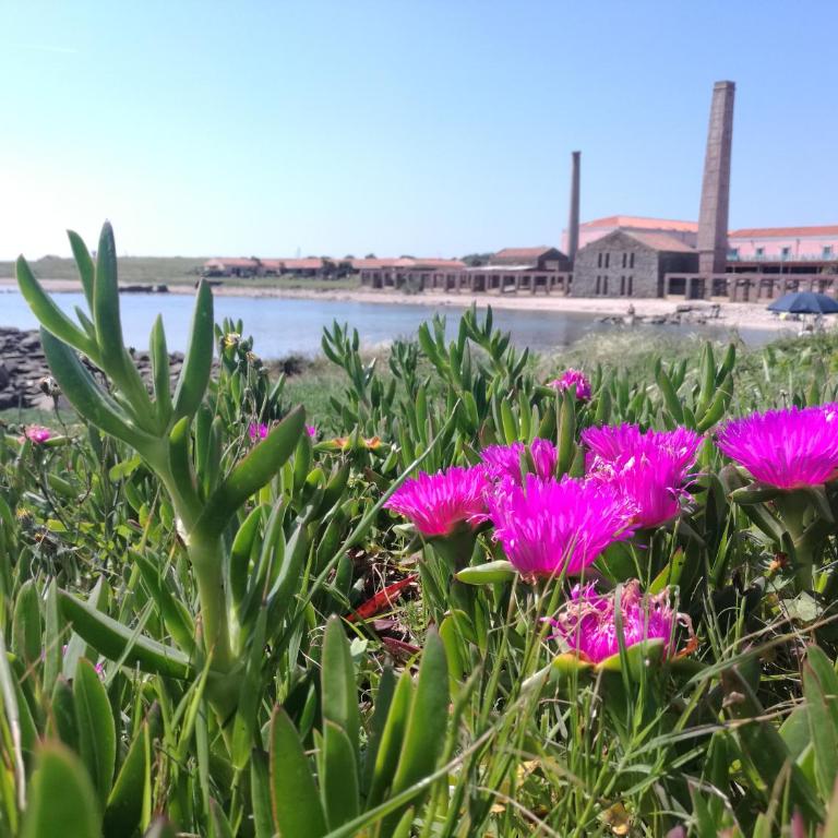Sogno sul mare - Appartamento con 3 Camere da Letto - 45