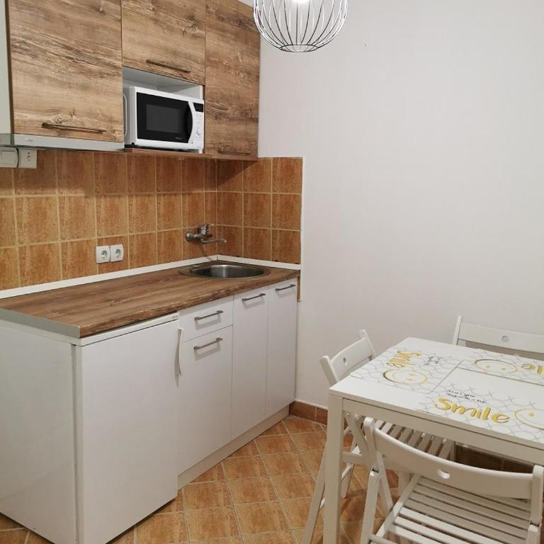 Vila Breza - Apartman sa 1 Spavaćom Sobom - 17