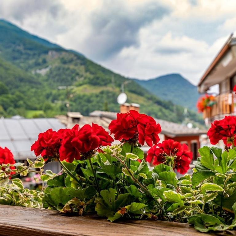 Fiocco di Neve Relais & SPA - Suite con Terrazza (Les Marmottes) - 7