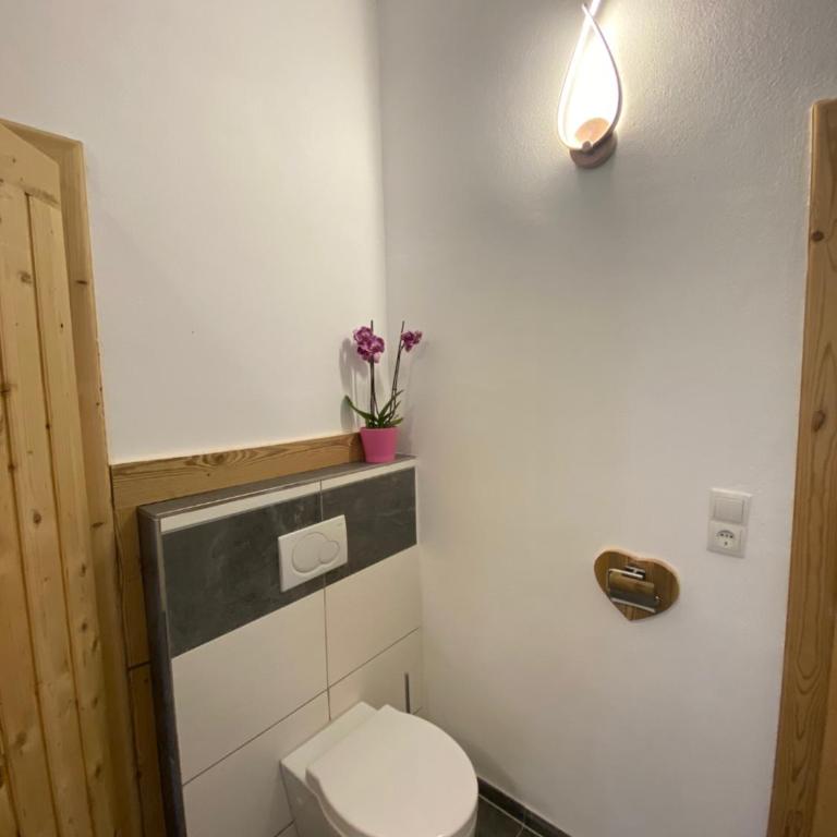 Berghof Haselsberger Appartements - Apartamento Deluxe - 38