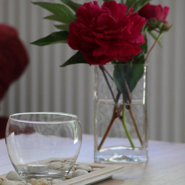 Alpen-FeWo - Studio-Apartment - 22