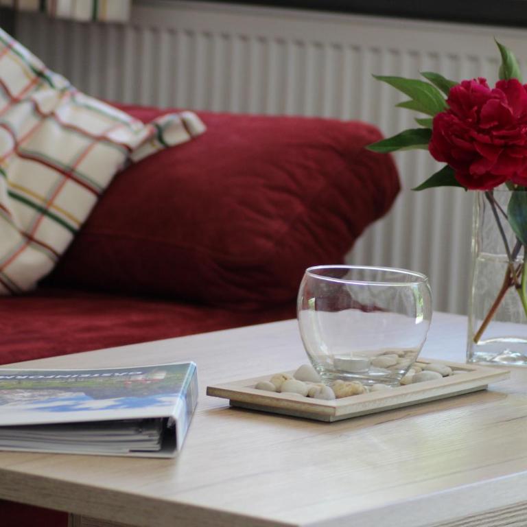 Alpen-FeWo - Studio-Apartment - 2