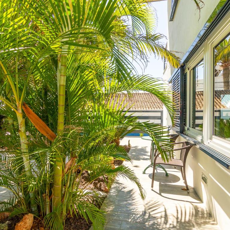 Resort con piscina privada en Calle Carabeo - Villa - 19