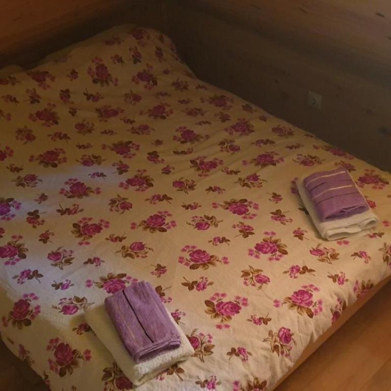 Brvnara Jovicic - Kuća sa 3 Spavaće Sobe - 2