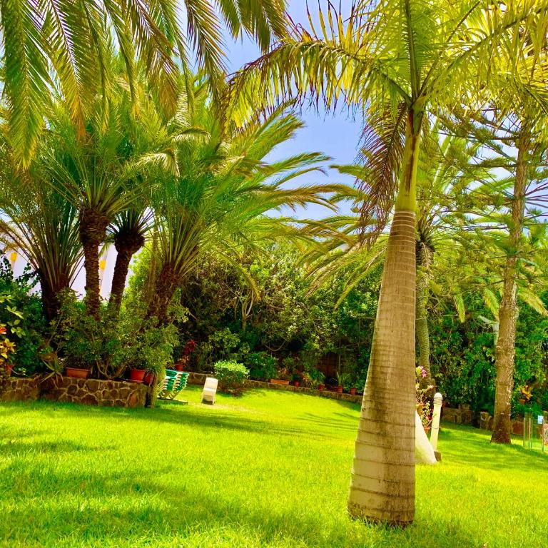 wonderful, lovely & quiet studio in playa del Inglés - WiFi free - Estudio con vistas a la piscina - 29