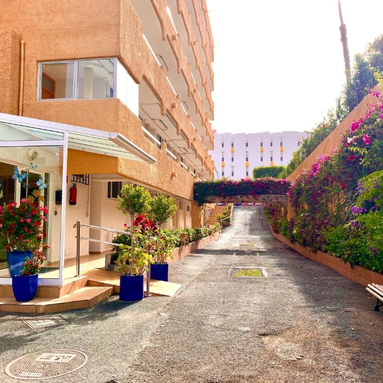 wonderful, lovely & quiet studio in playa del Inglés - WiFi free - Estudio con vistas a la piscina - 31