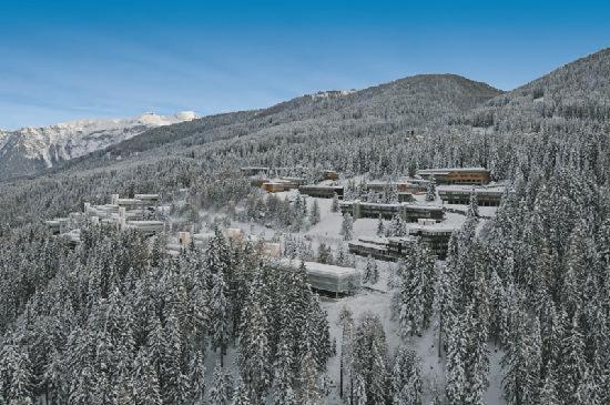 Vetrate sul bosco - Apartment mit 1 Schlafzimmer - 34
