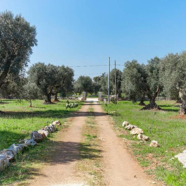 Trullo magico - Appartamento con 1 Camera da Letto - 25