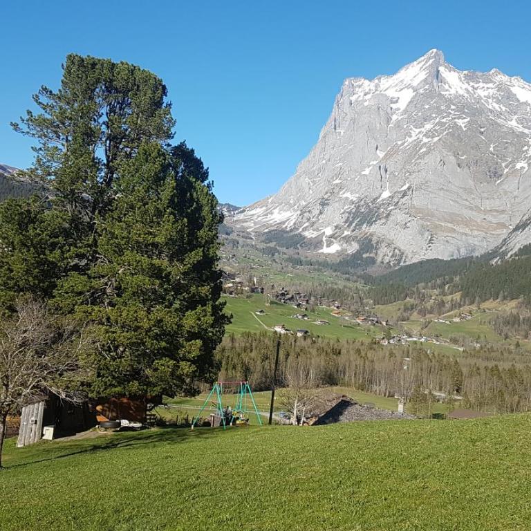 Chalet bei der Arve - Vierbettzimmer mit Bergblick - 17
