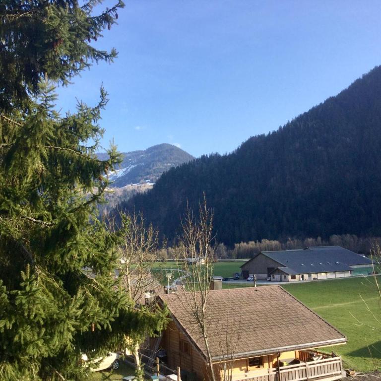 Le chalet de Bernoline vaste appartement tout confort - Appartement avec Terrasse - 17