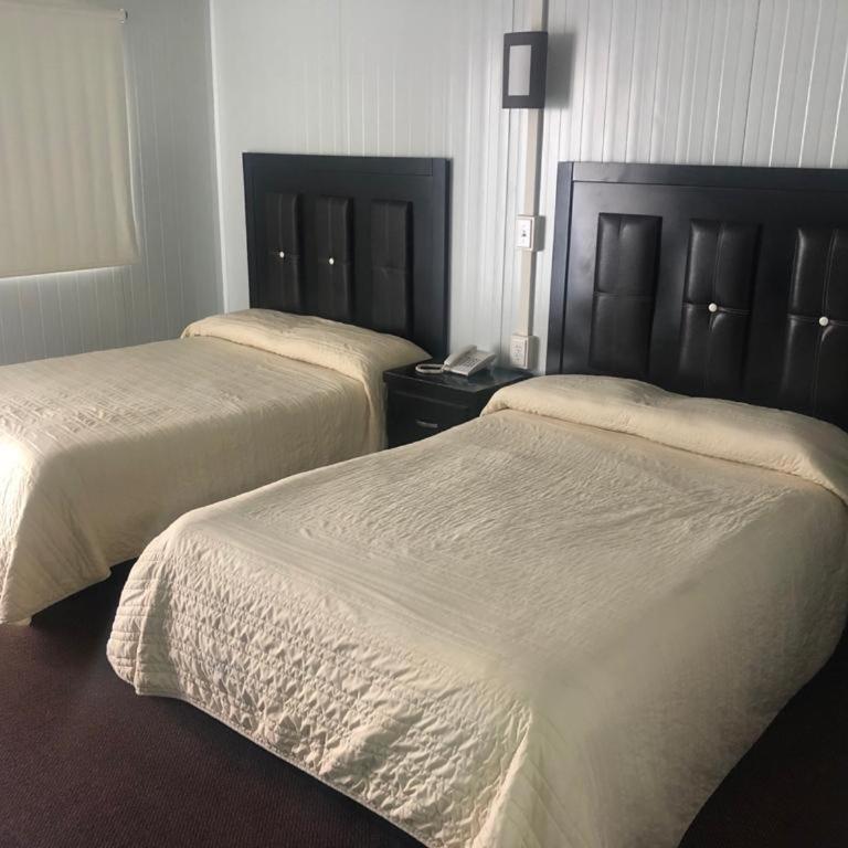 BONITTO INN® Monterrey Norte - Standard Double Room with Two Double Beds - 1