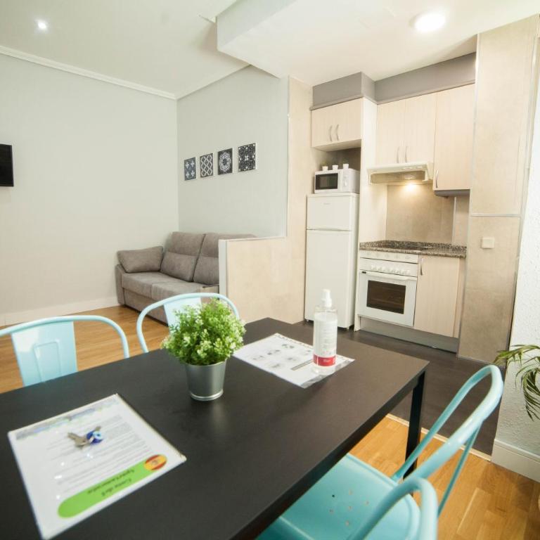 Apartments Madrid Principe - One-Bedroom Apartment - 5