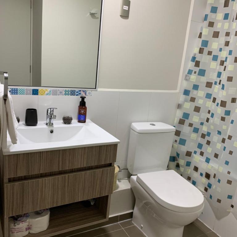 Nuevo y muy bien equipado departamento en Pucón - Apartamento Superior - 10