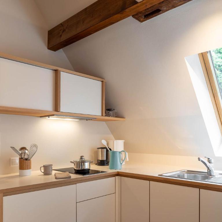 Ladurnerhof Boutique Apartments Meran - Deluxe One-Bedroom Apartment - 4