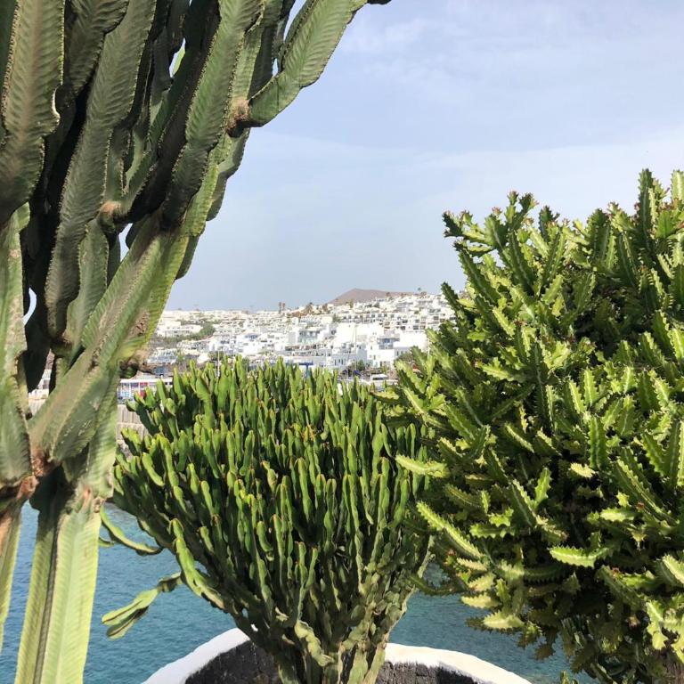 Old town with Sea views Portonovo - One-Bedroom Apartment - 17