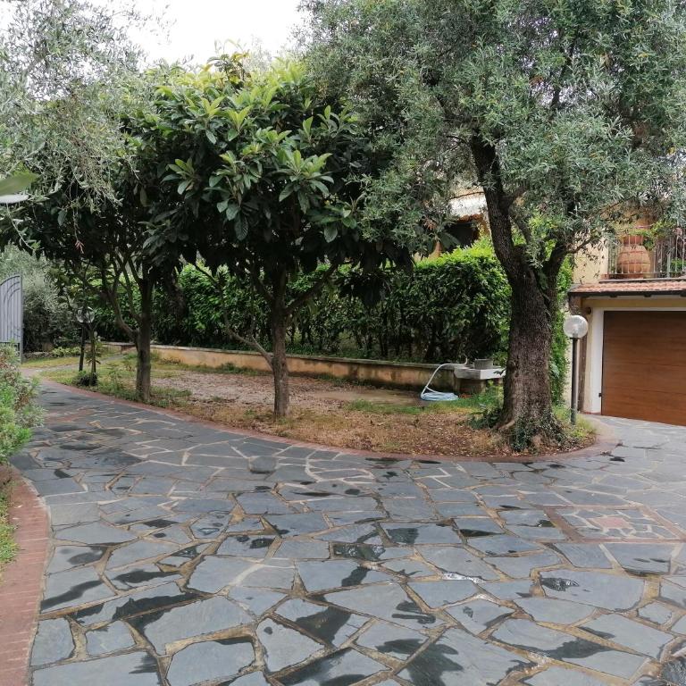 Casina Versilia - Studio-Apartment - 18