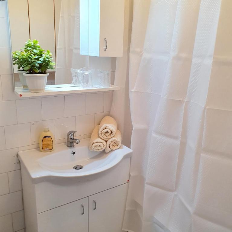 Apartman Rosic - One-Bedroom Apartment - 8