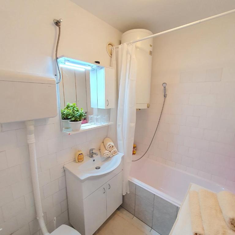 Apartman Rosic - One-Bedroom Apartment - 10