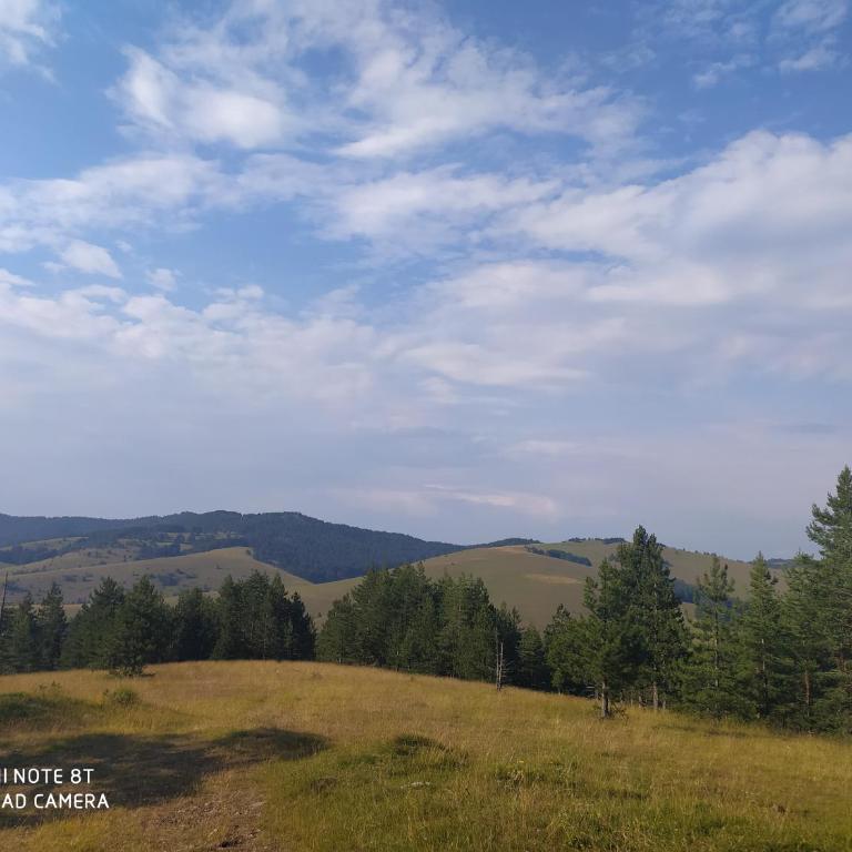 Vikendica Dve sestre Zlatibor - Kuća sa 3 Spavaće Sobe - 36