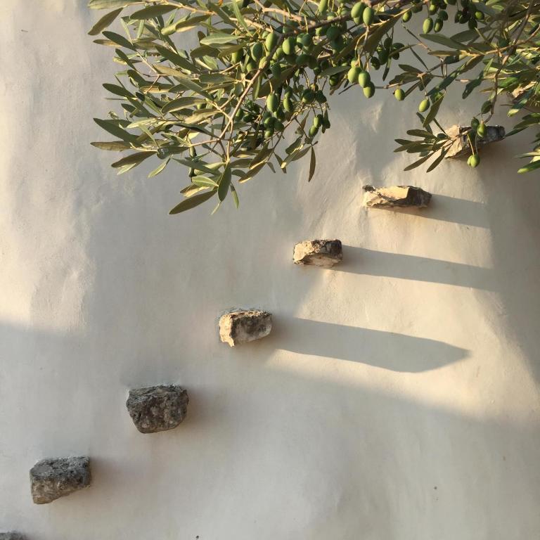 Trullo Amelie - Villa - 19